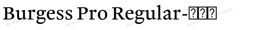 Burgess Pro Regular字体转换 Burgess Pro Regular字体转换